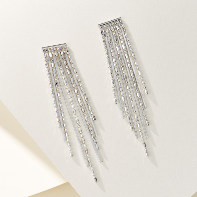 Tassel Snake Bone Long | Silver Earrings