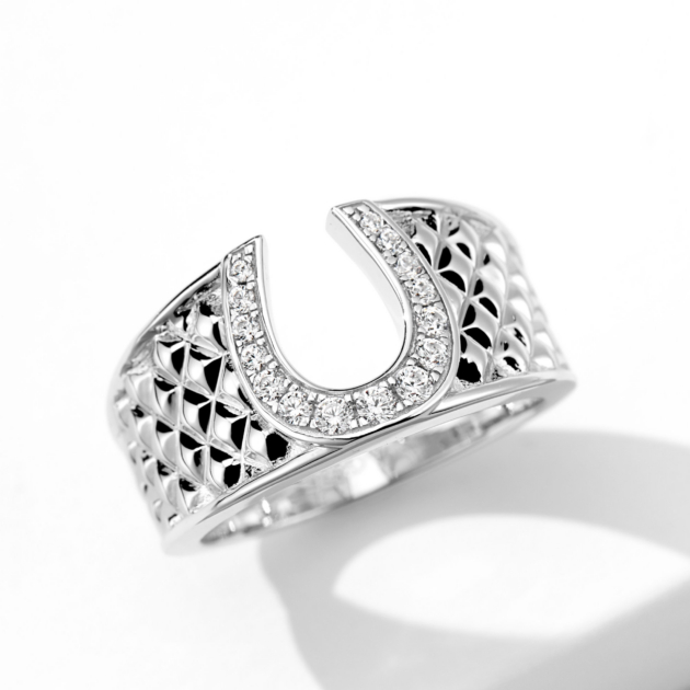 Hollow Horseshoe Textured | Silver Ring