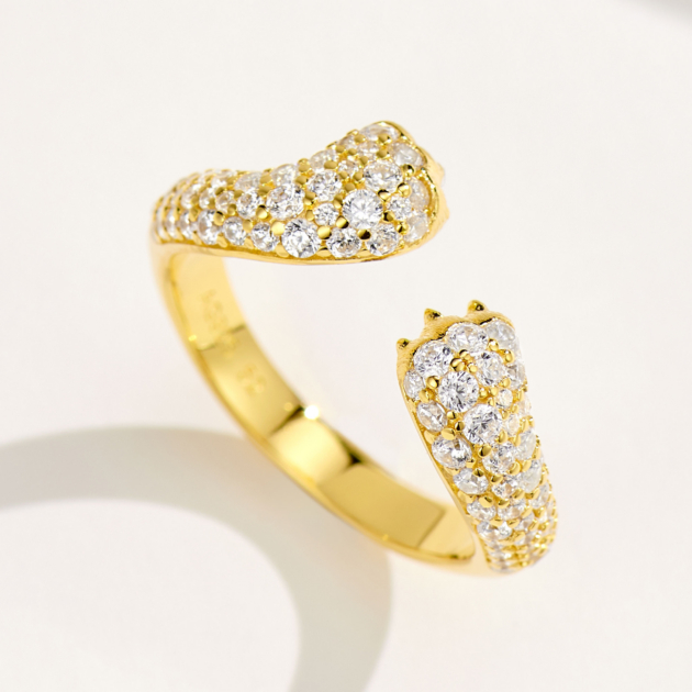 Leopard Wealth Claw | Silver Ring